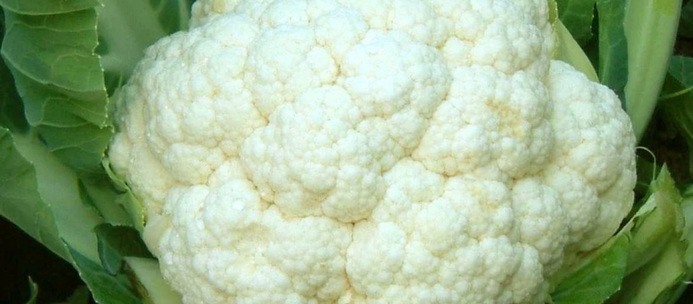 Αυτές είναι οι 4 τροφές που κάνουν το σώμα μας να μυρίζει άσχημα